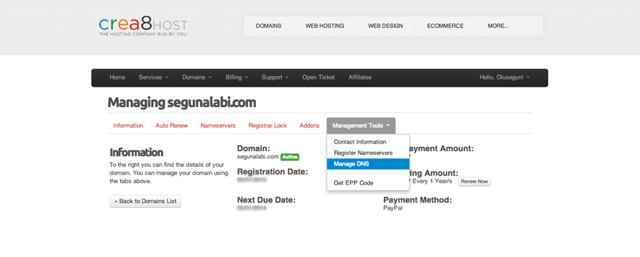 manage-DNS